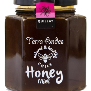 Miel de Quillay - Miel Chilena de la flor de Quillay - Miel Orgánica